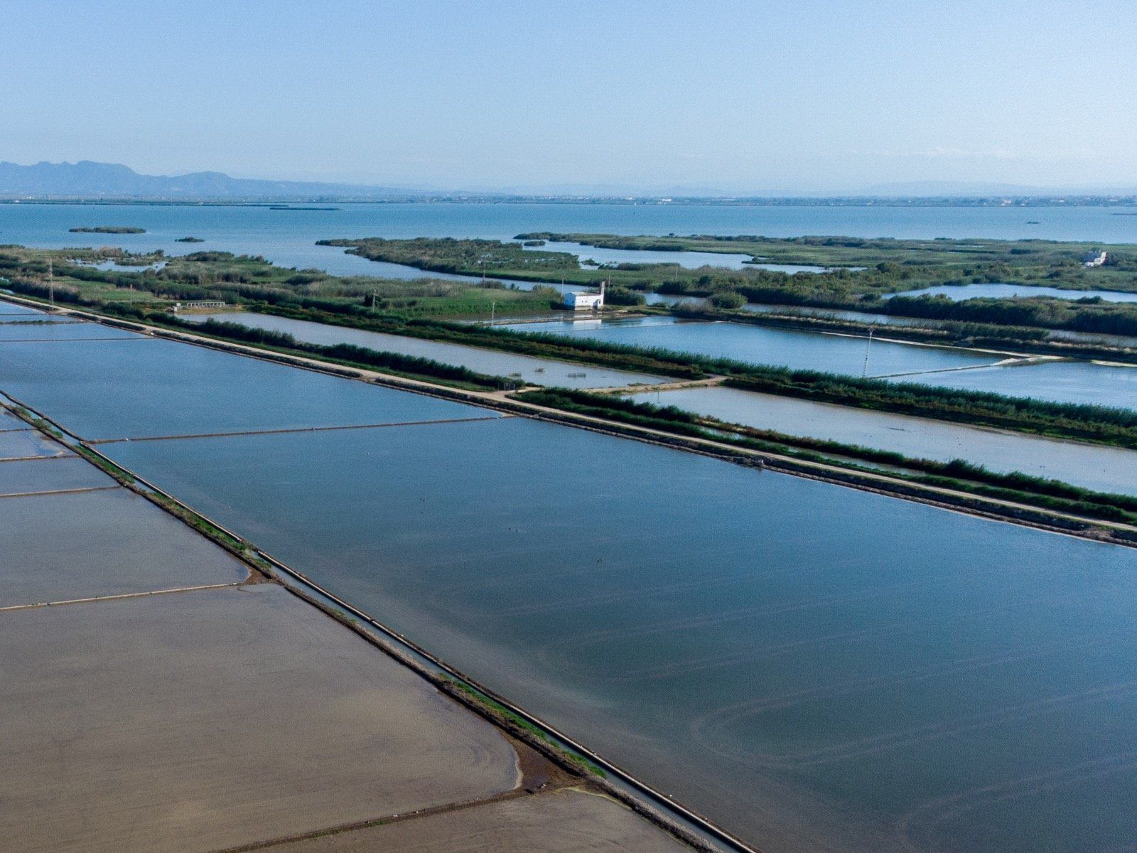 Ruta verde del Tancat de la Pipa de Catarroja
