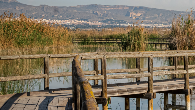 L'Albufera de València