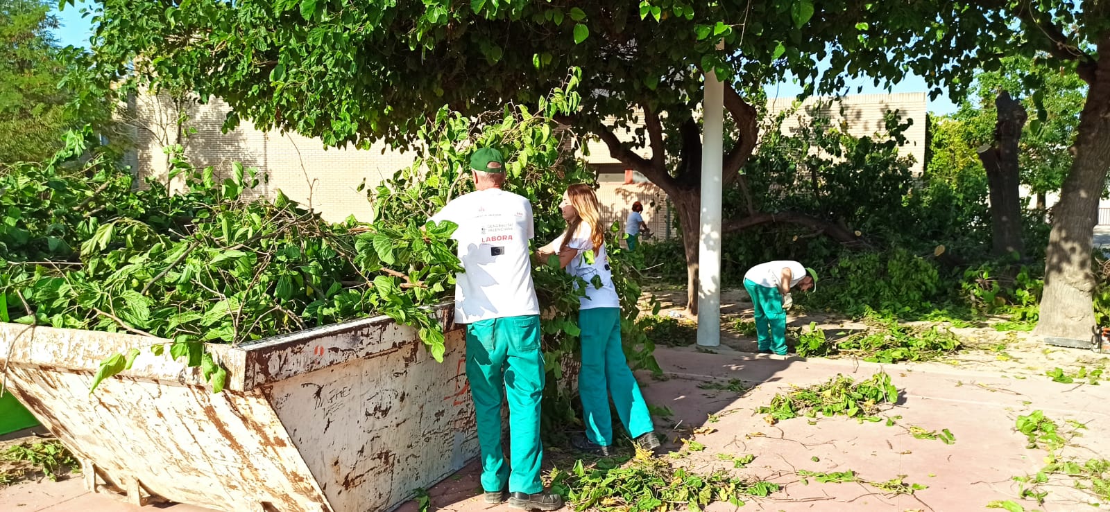 Intervenció de millora en 18 CEIP 