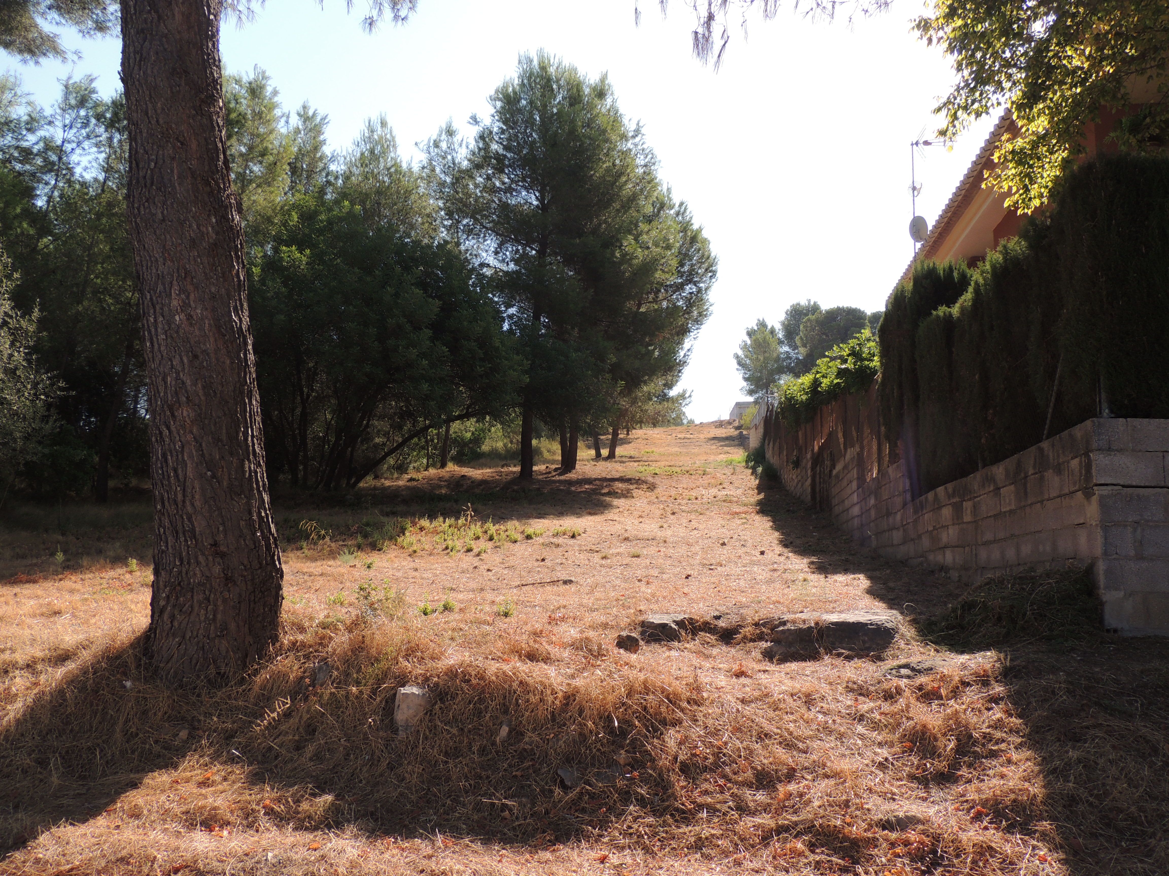 Zona verde de Carcaixent