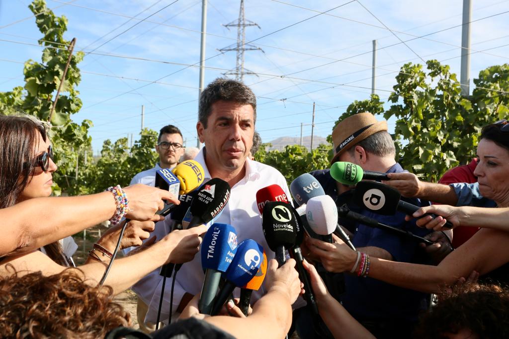 Carlos Mazón, presidente del PPCV