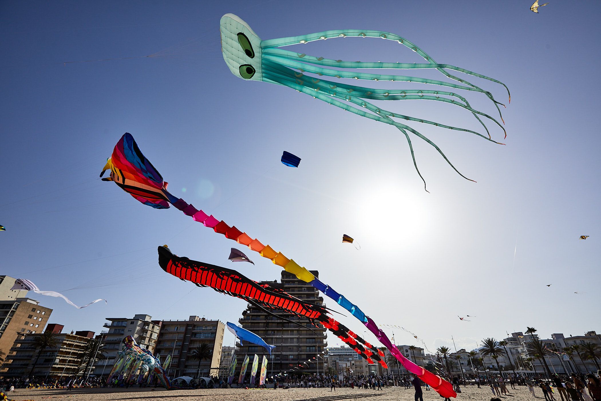 Festival de milotxes gegants de Gandia