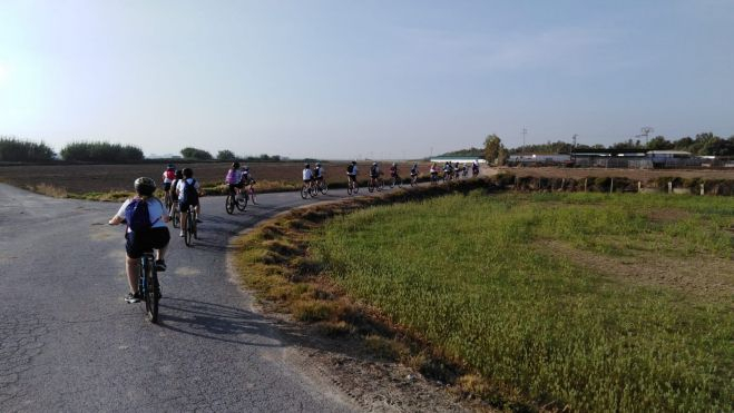 Ruta amb bicicleta per la Marjal de Massanassa
