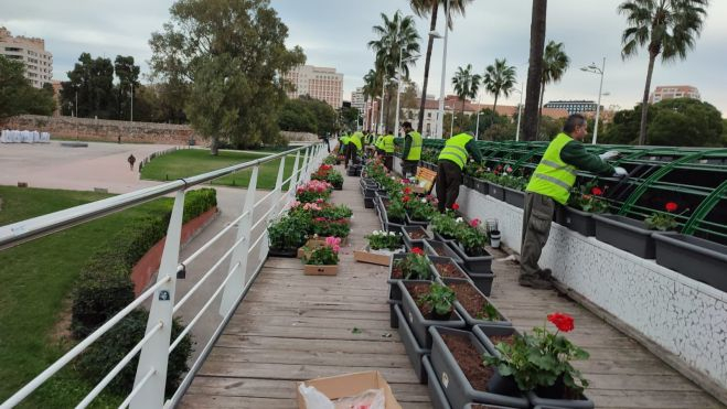 Los operarios plantan las nuevas flores del Puente de las Flores de València