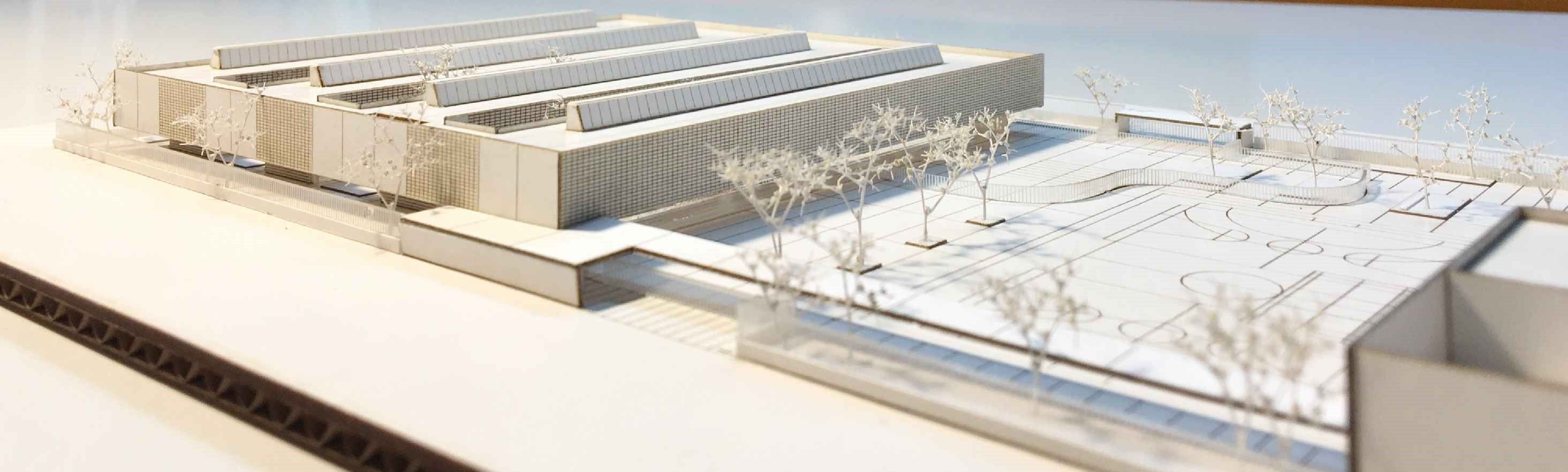 Proyecto del CEIP 106 de Malilla