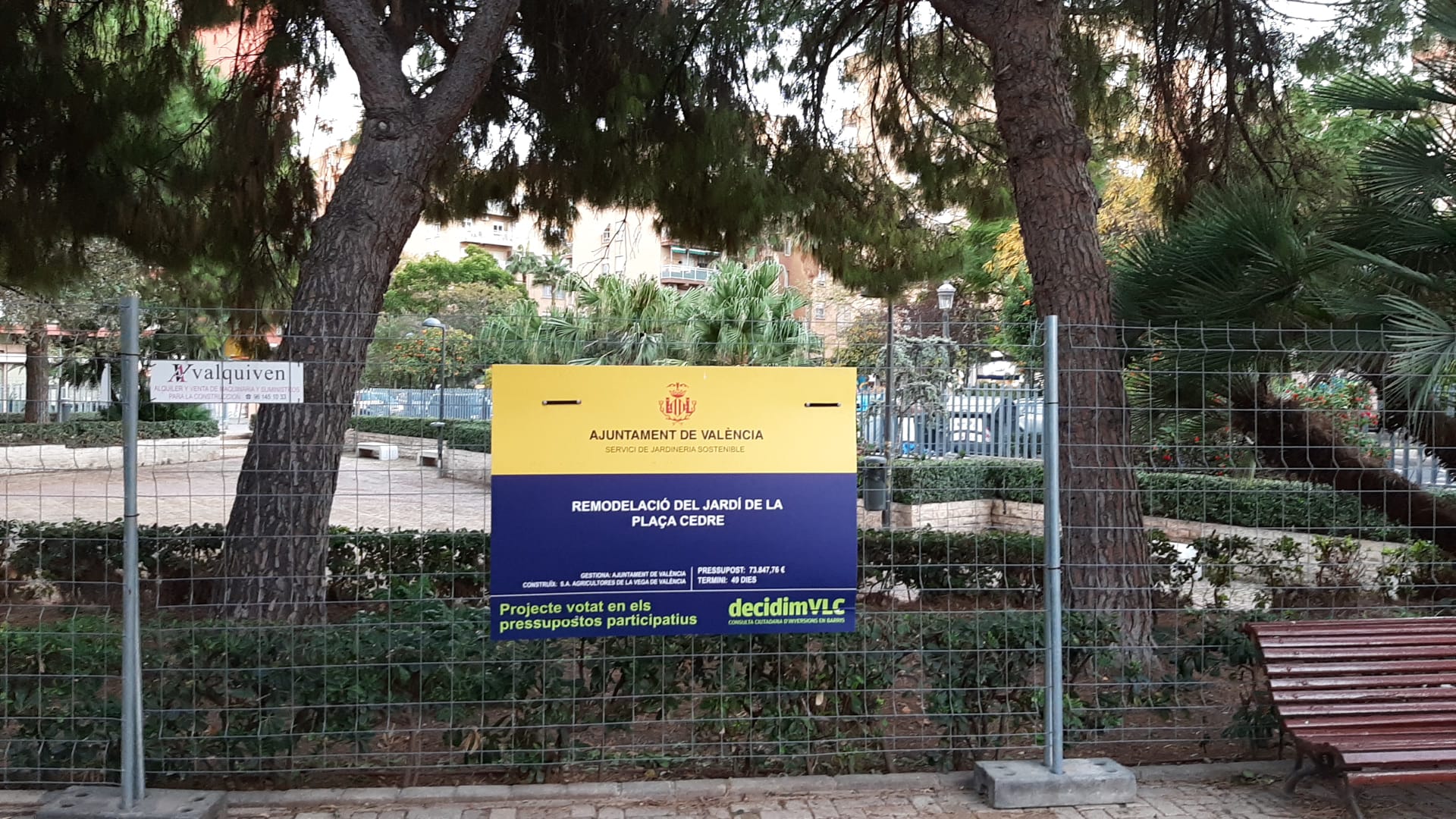 Obras en la plaza del Cedro