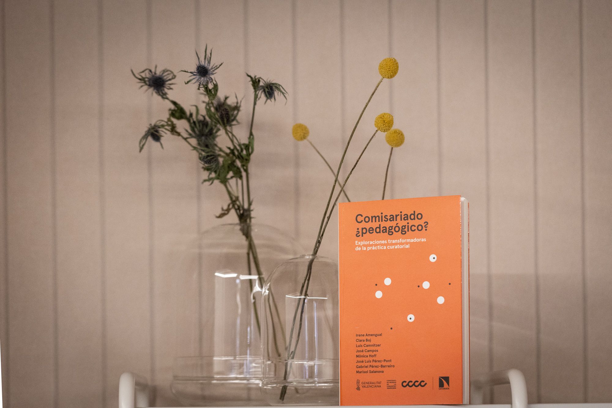 Llibre ‘Comisariado ¿pedagógico?’