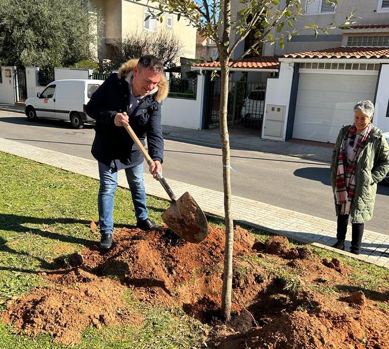 Dia de l'Arbre a Catarroja