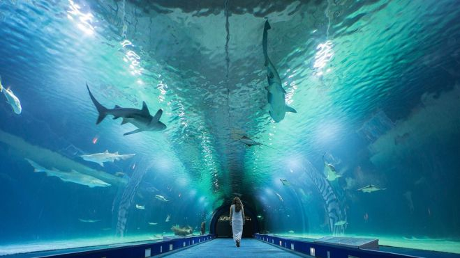 Una mujer pasea por el interior del Oceanogràfic. Imagen de www.oceanografic.org