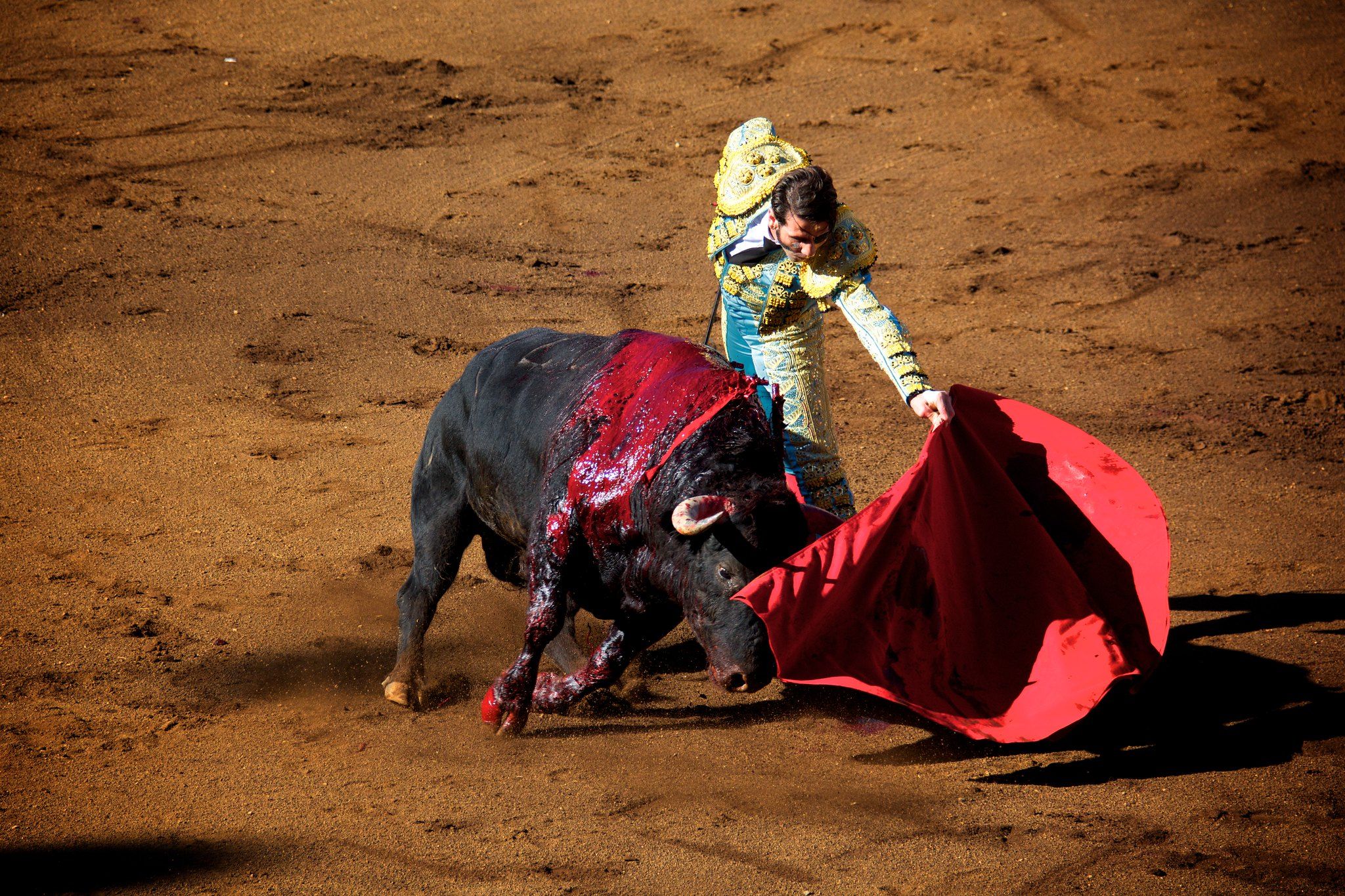 Corrida de toros del cartel de Fallas de València