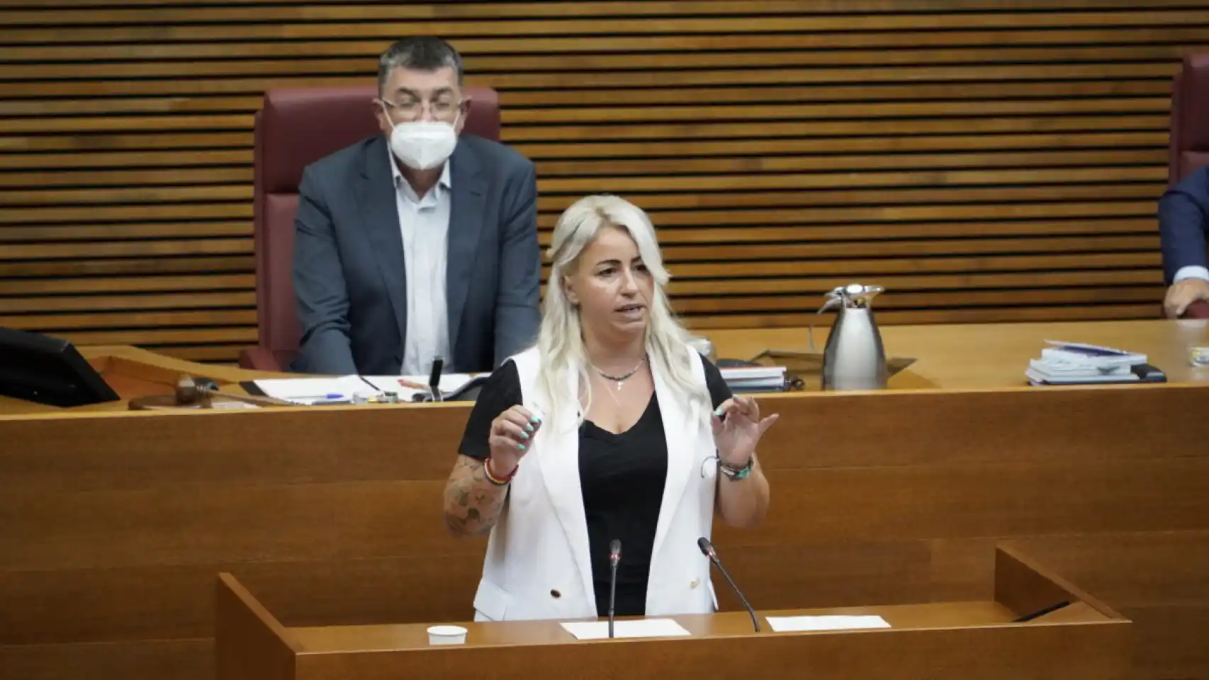 La portaveu de Cooperació del PP en Les Corts, Marisa Gayo