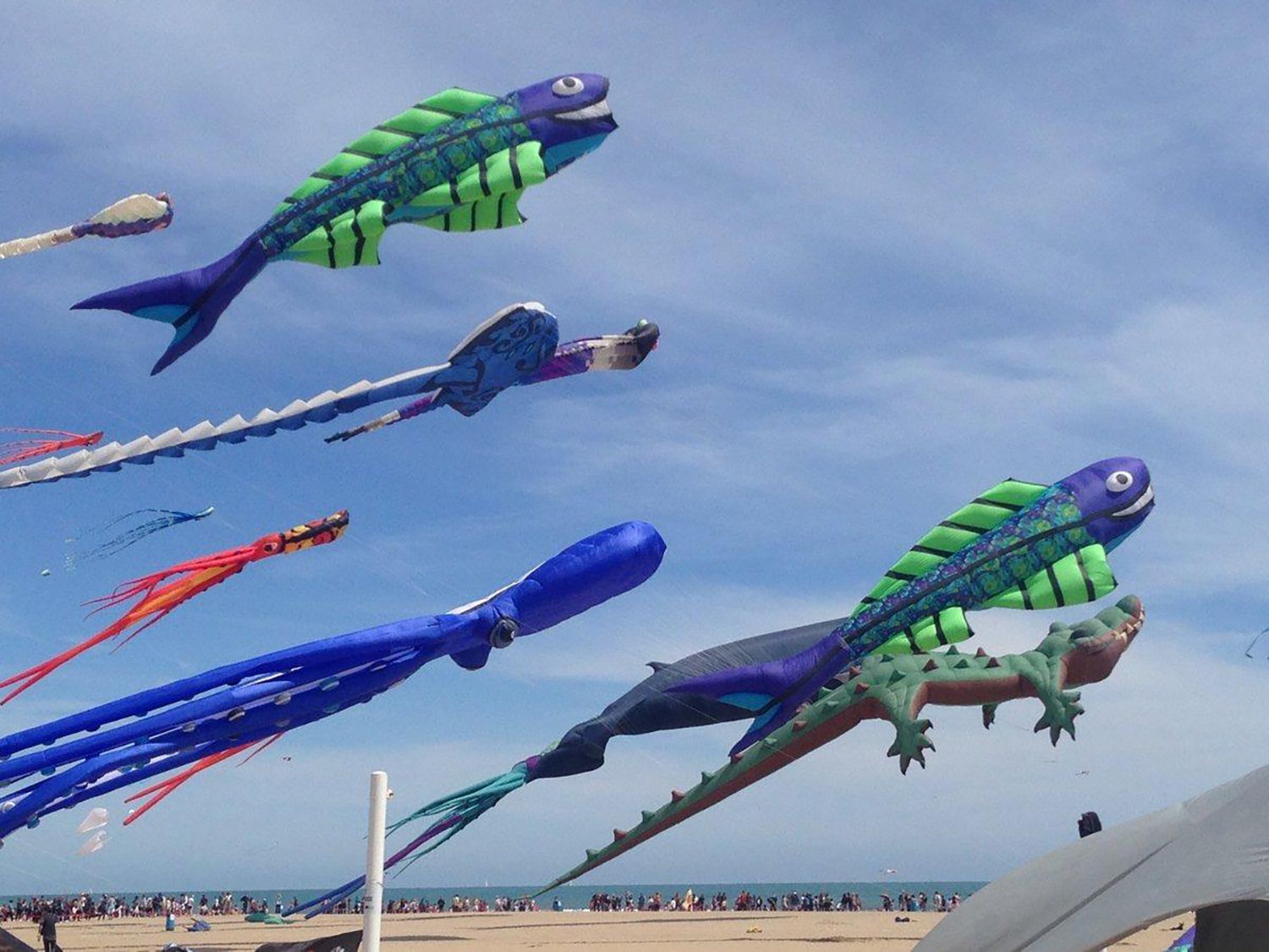 Festival de cometas en la playa del Cabanyal de València