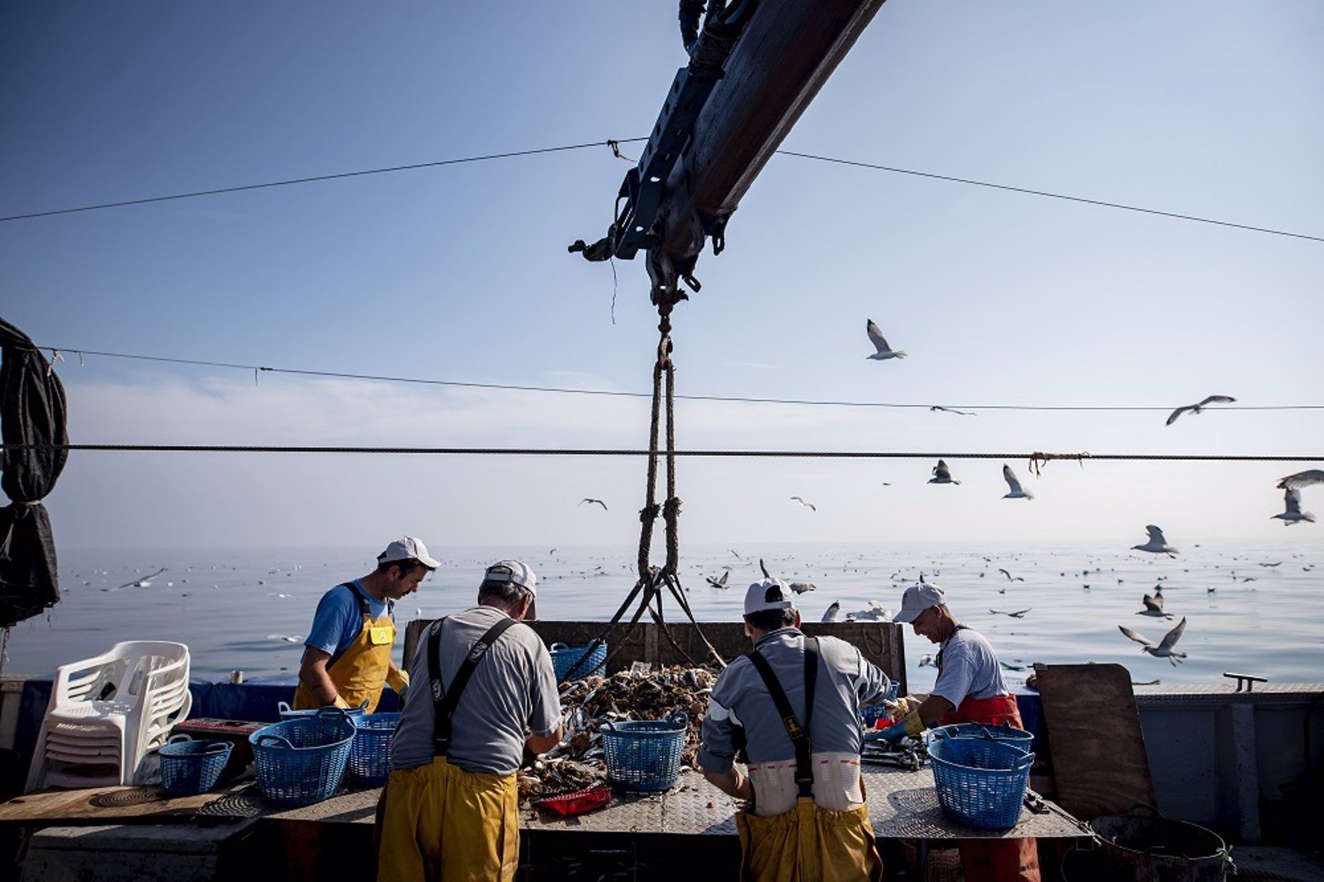 Pescadores faenando en alta mar