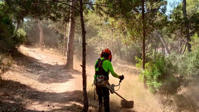 Brigada Forestal de Torrent en labores de prevenciones de incendios Brigada Forestal de Torrent en labores de prevenciones de incendios