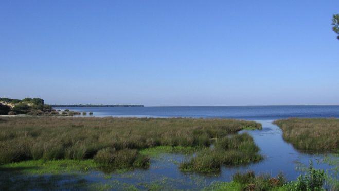 Parc Natural de Donyana a Andalusia. Imatge: Junta d'Andalusia