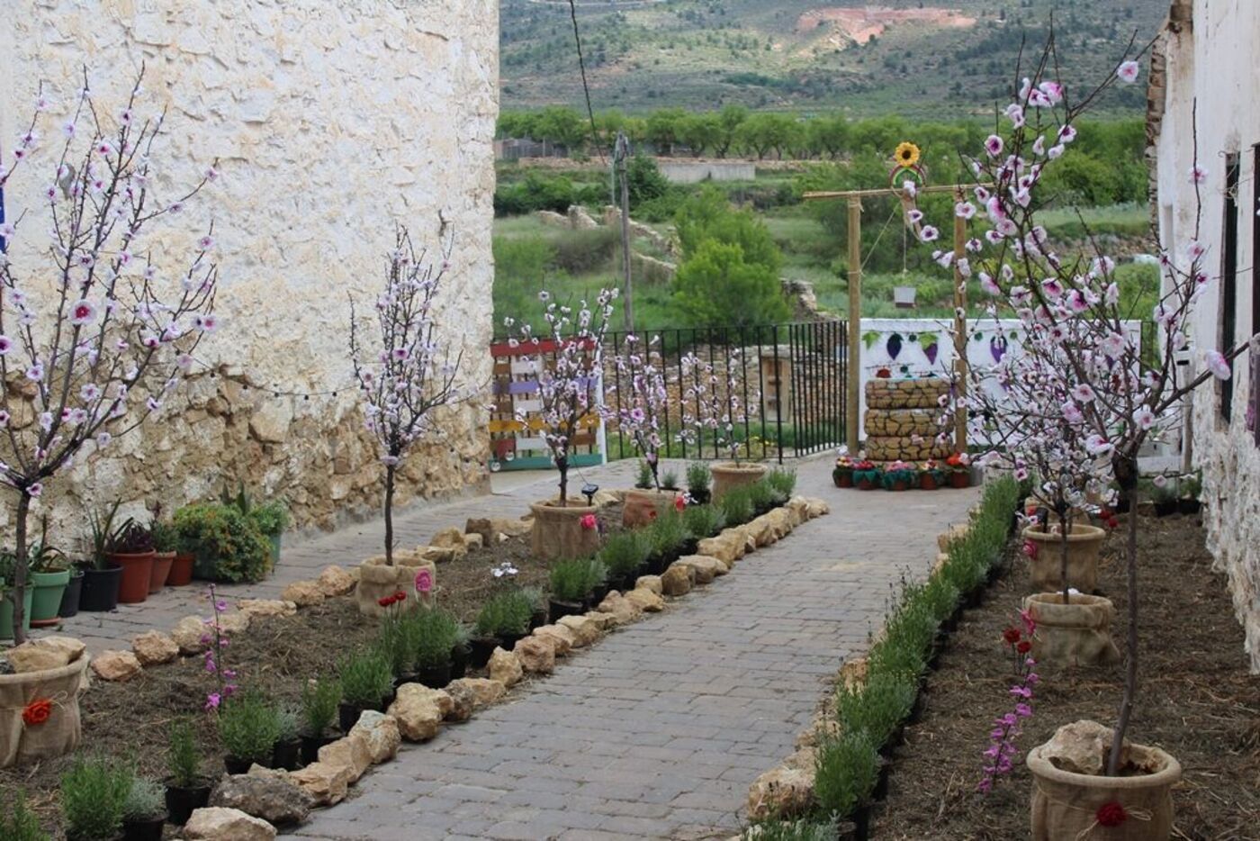 Aras en Flor, Aras de los Olmos