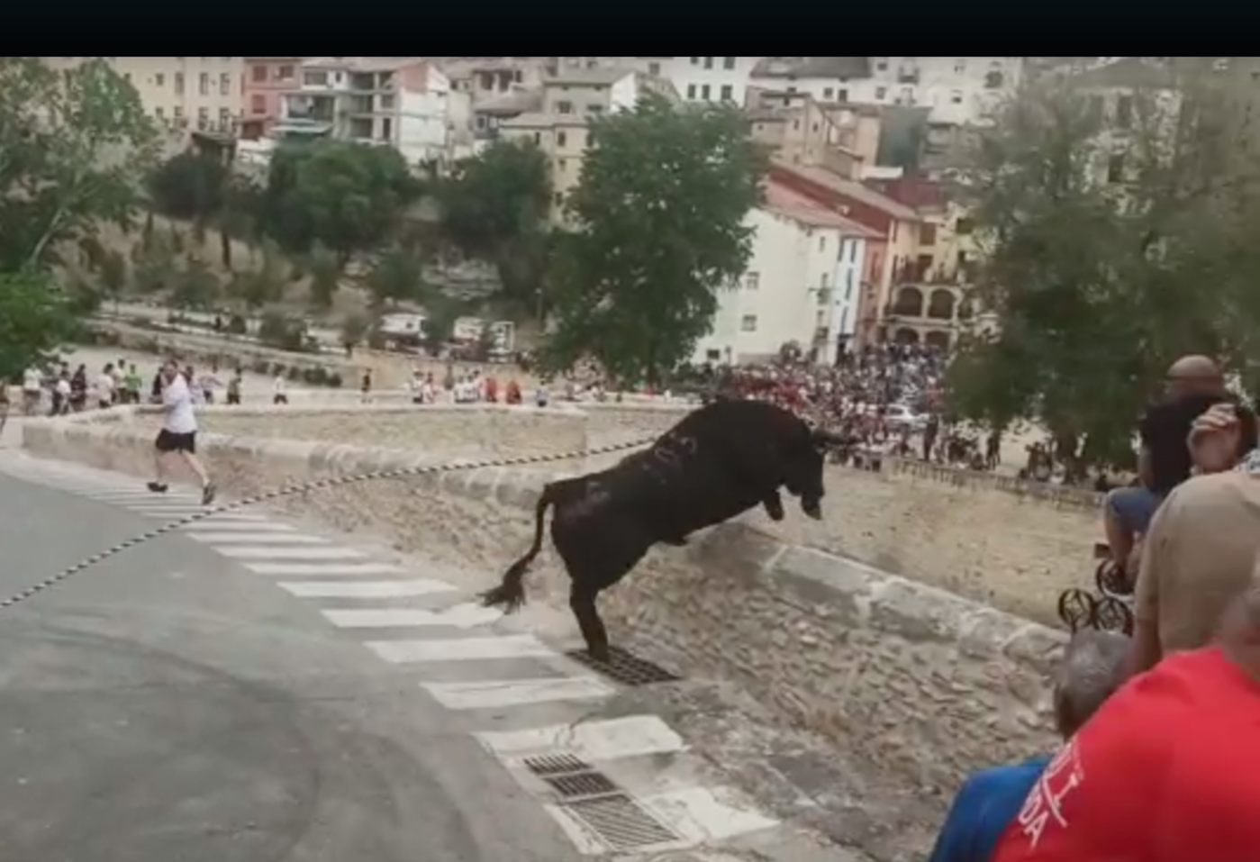 El toro saltando el muro por el que se precipitó durante el 'Bou de les Penyes'/ Twitter