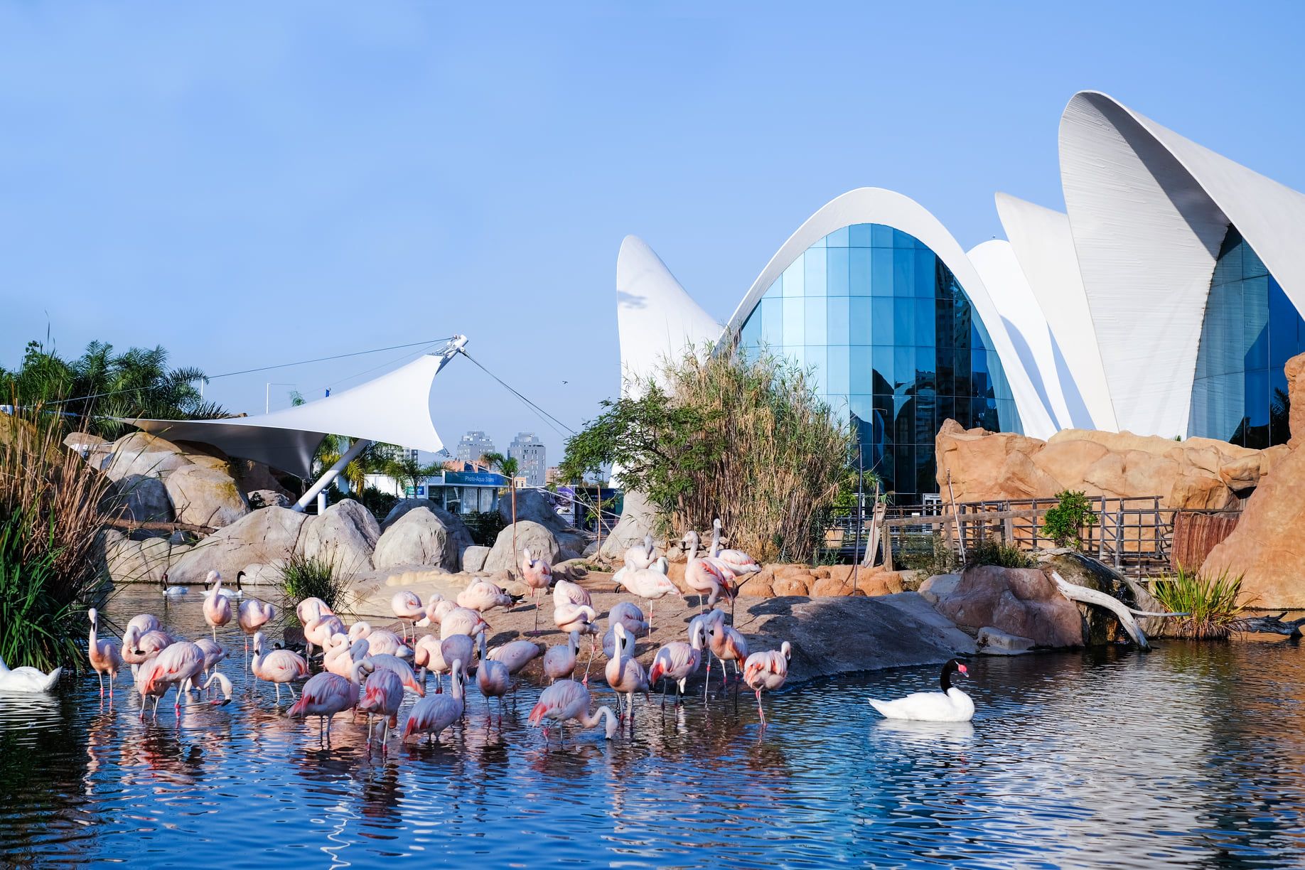 Oceanogràfic