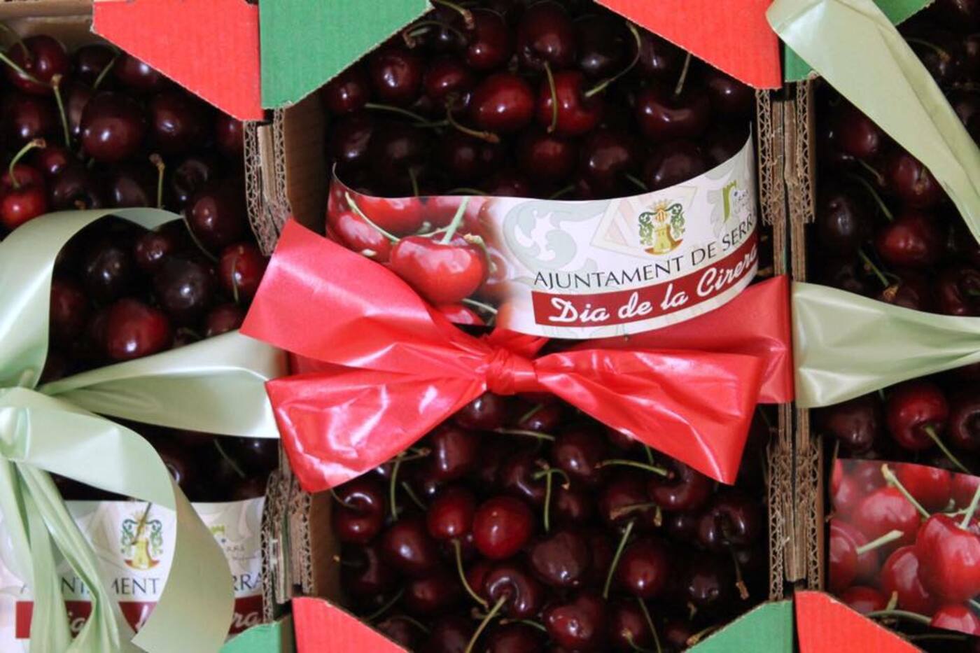 Una canastilla de cerezas de Serra