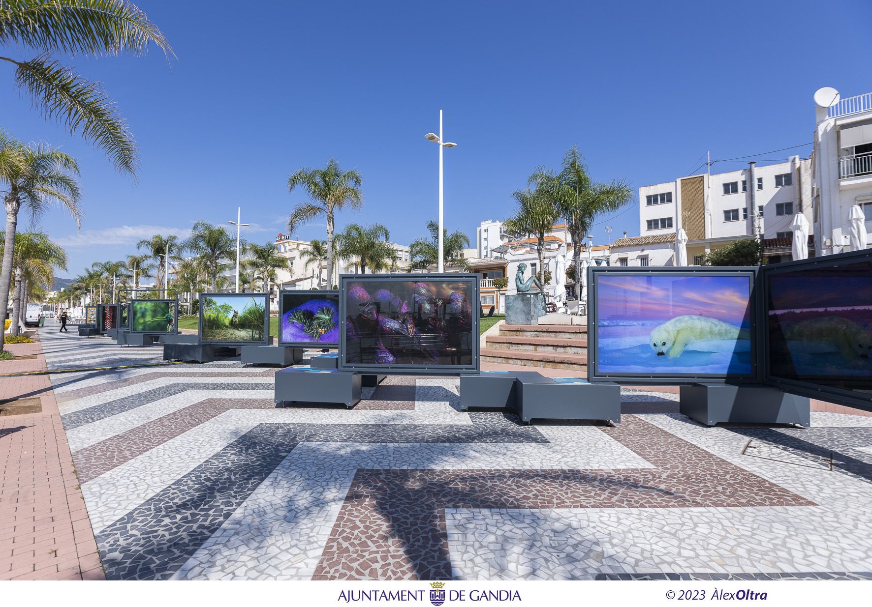 Fotografies de l'exposició de National Geographic a Gandia. Imatge d'Àlex Oltra