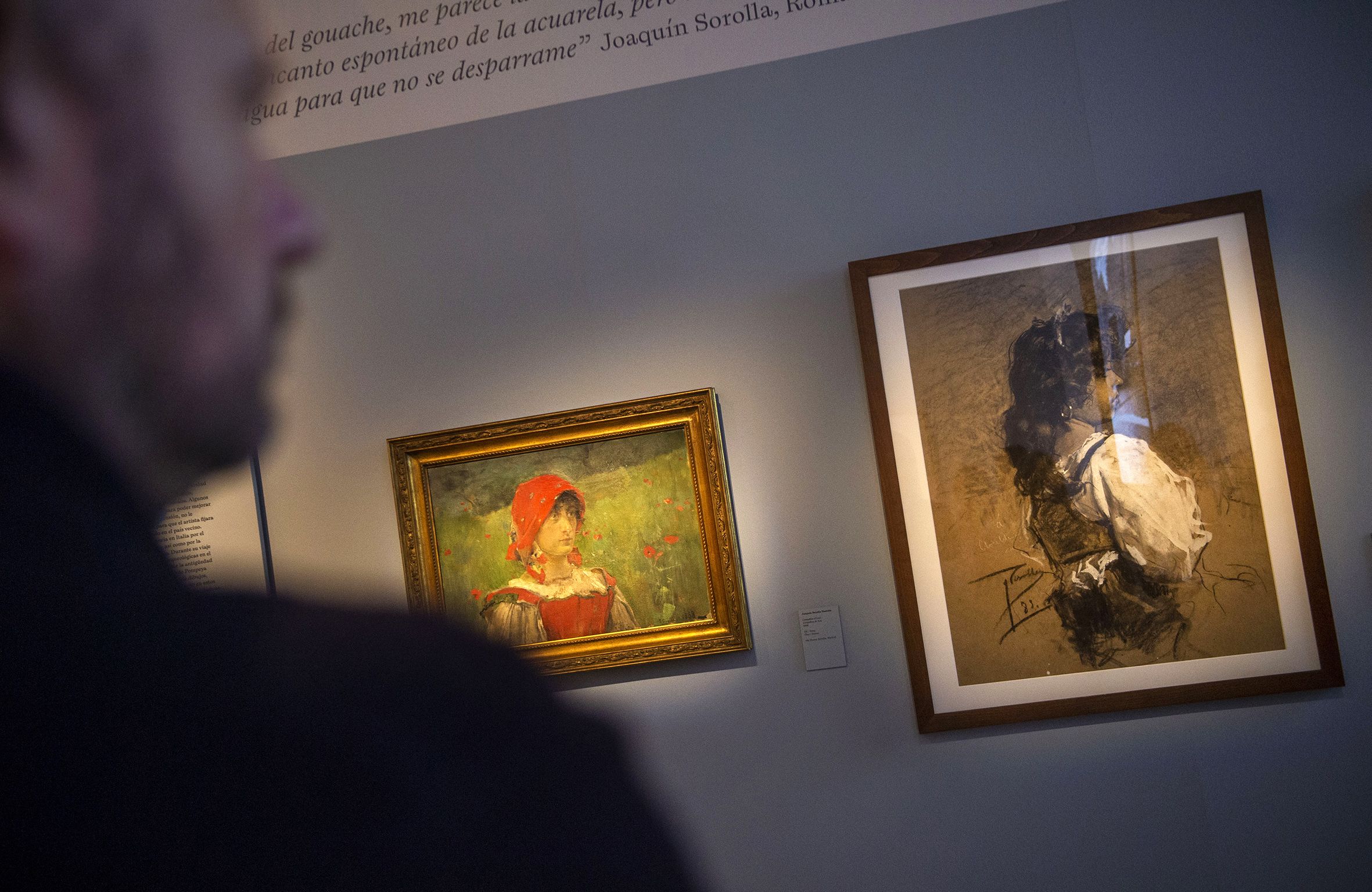 Exposición de Sorolla de la Diputació