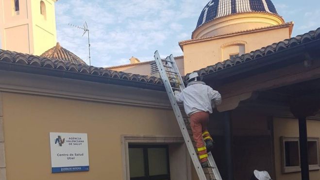 Efectivos del Consorcio Provincial de Bomberos de València retiran un enjambre de abejas que se encontraba en el centro de salud de Utiel