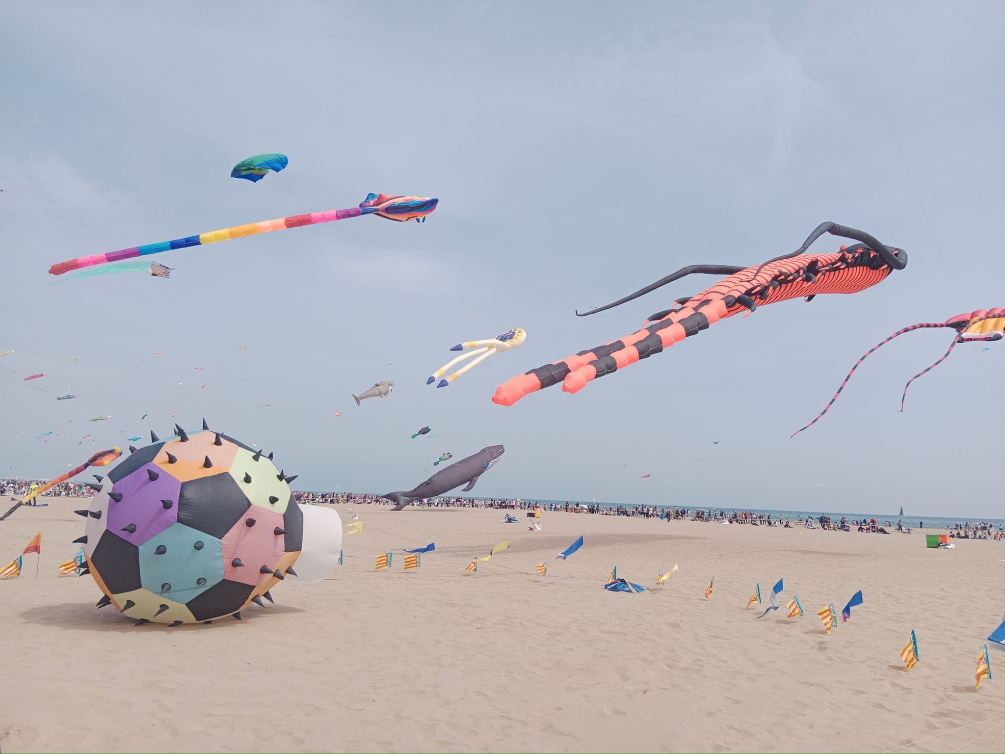 Cometas gigantes sobrevuelan un arenal. Imagen: Milotxes Club
