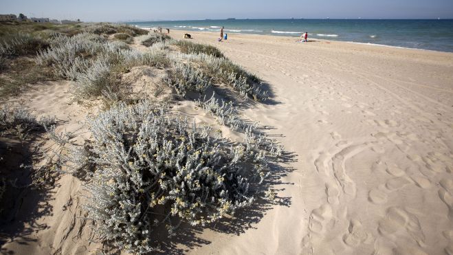 Playa de l'Arbre del Gos en El Saler Playa de l'Arbre del Gos en El Saler