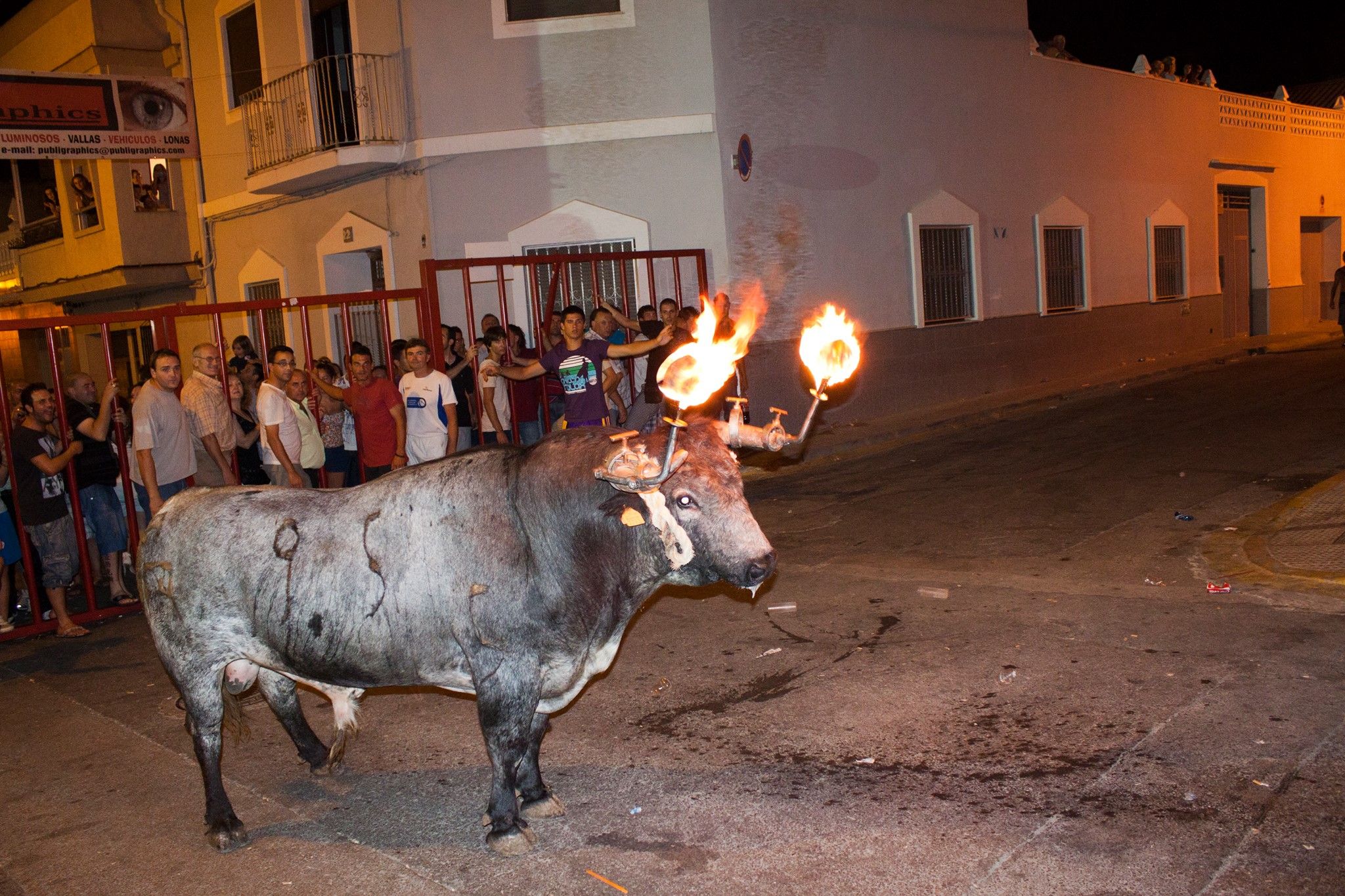 Bou embolat en un municipio de València