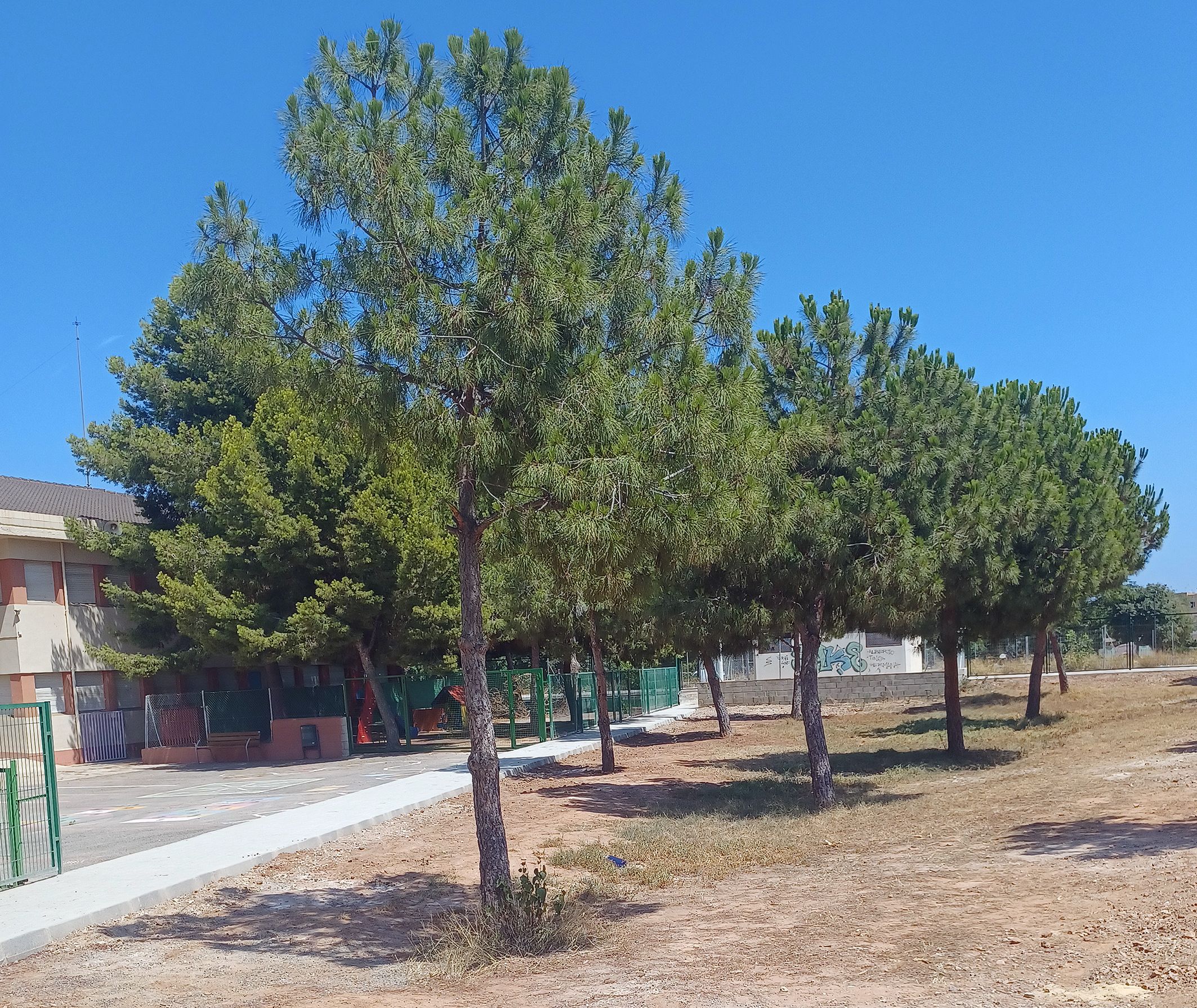 Pati del col·legi públic La Pinaeta de Sagunt