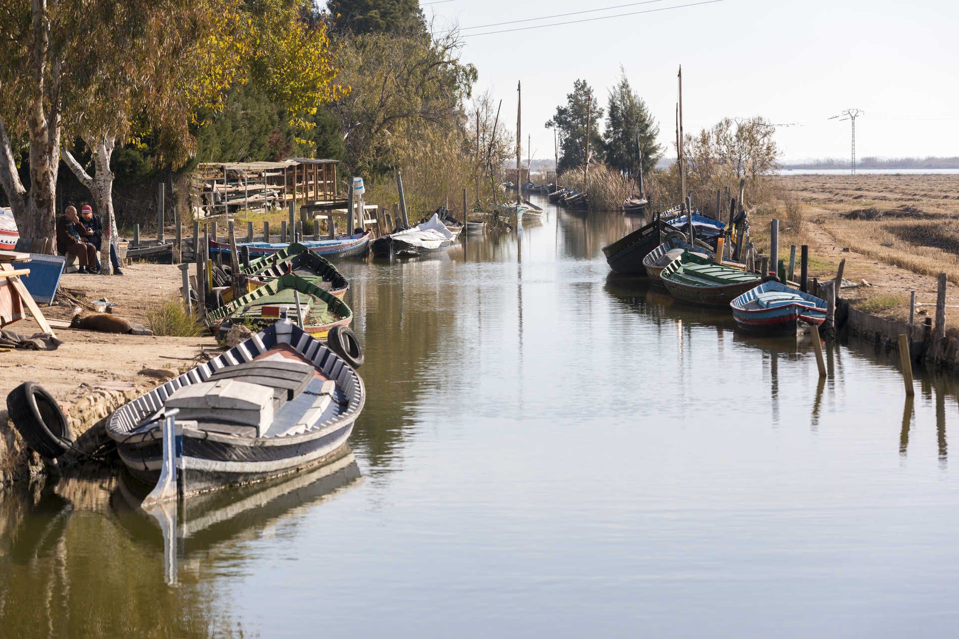 Imatge de l'Albufera de València /Foto: Turisme Comunitat Valenciana