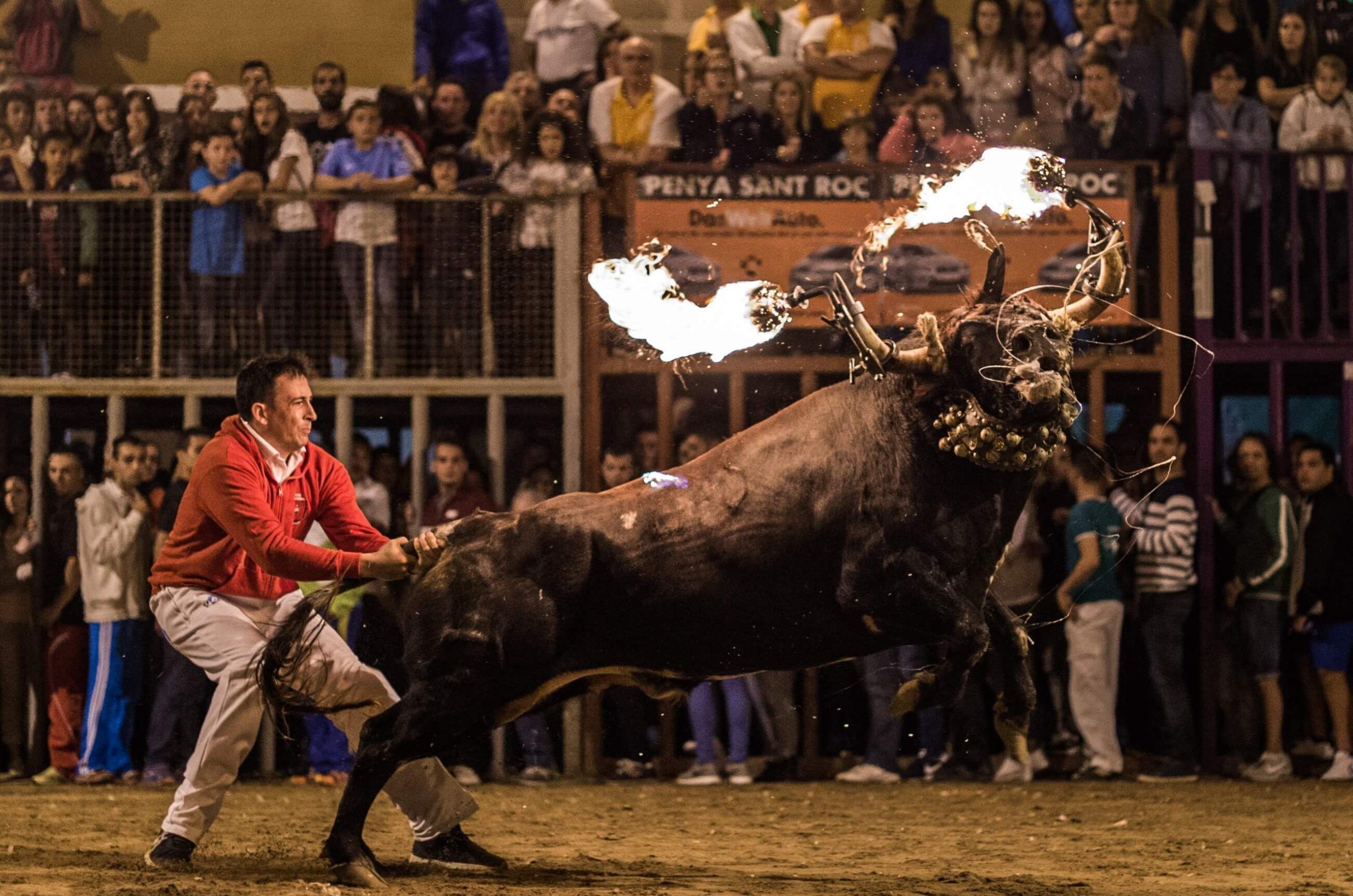 Toro Embolado en València/Foto: Unió d'Emboladors