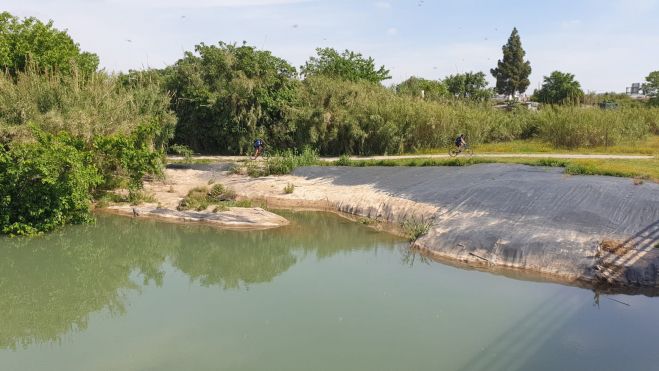Eliminación de cañas invasoras del río Turia a su paso por Quart de Poblet