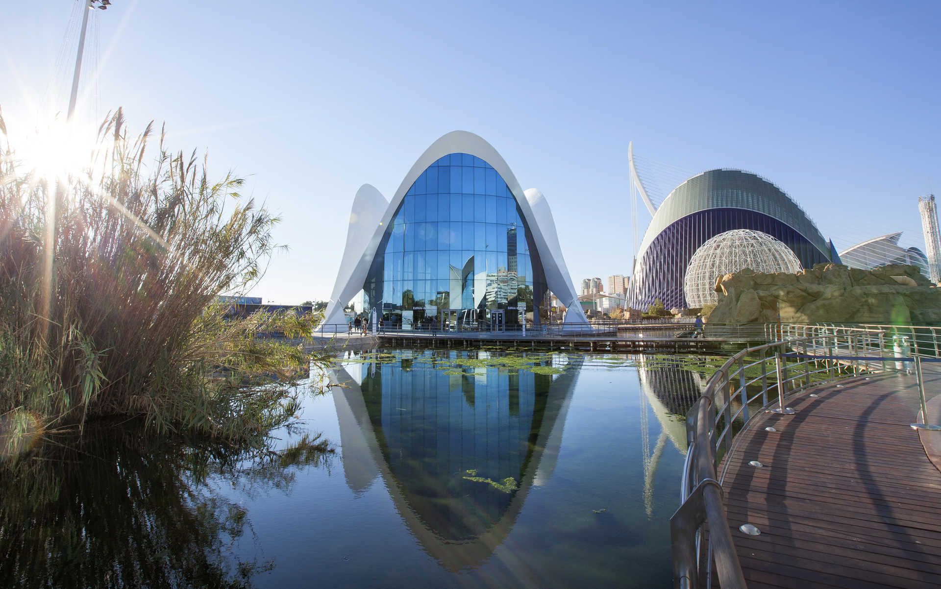 Oceanogràfic de la Ciudad de las Artes y las Ciencias/Foto: Turisme Comunitat Valenciana