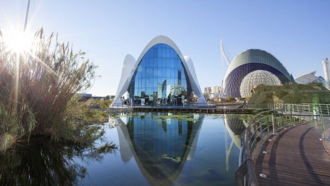 Oceanogràfic de la Ciudad de las Artes y las Ciencias/Foto: Turisme Comunitat Valenciana Oceanogràfic de la Ciudad de las Artes y las Ciencias/Foto: Turisme Comunitat Valenciana