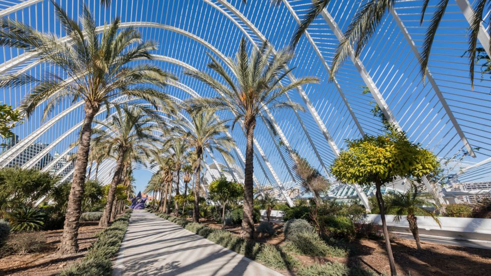El Umbracle en la Ciudad de las Artes y las Ciencias/ Foto: Turisme Comunitat Valenciana