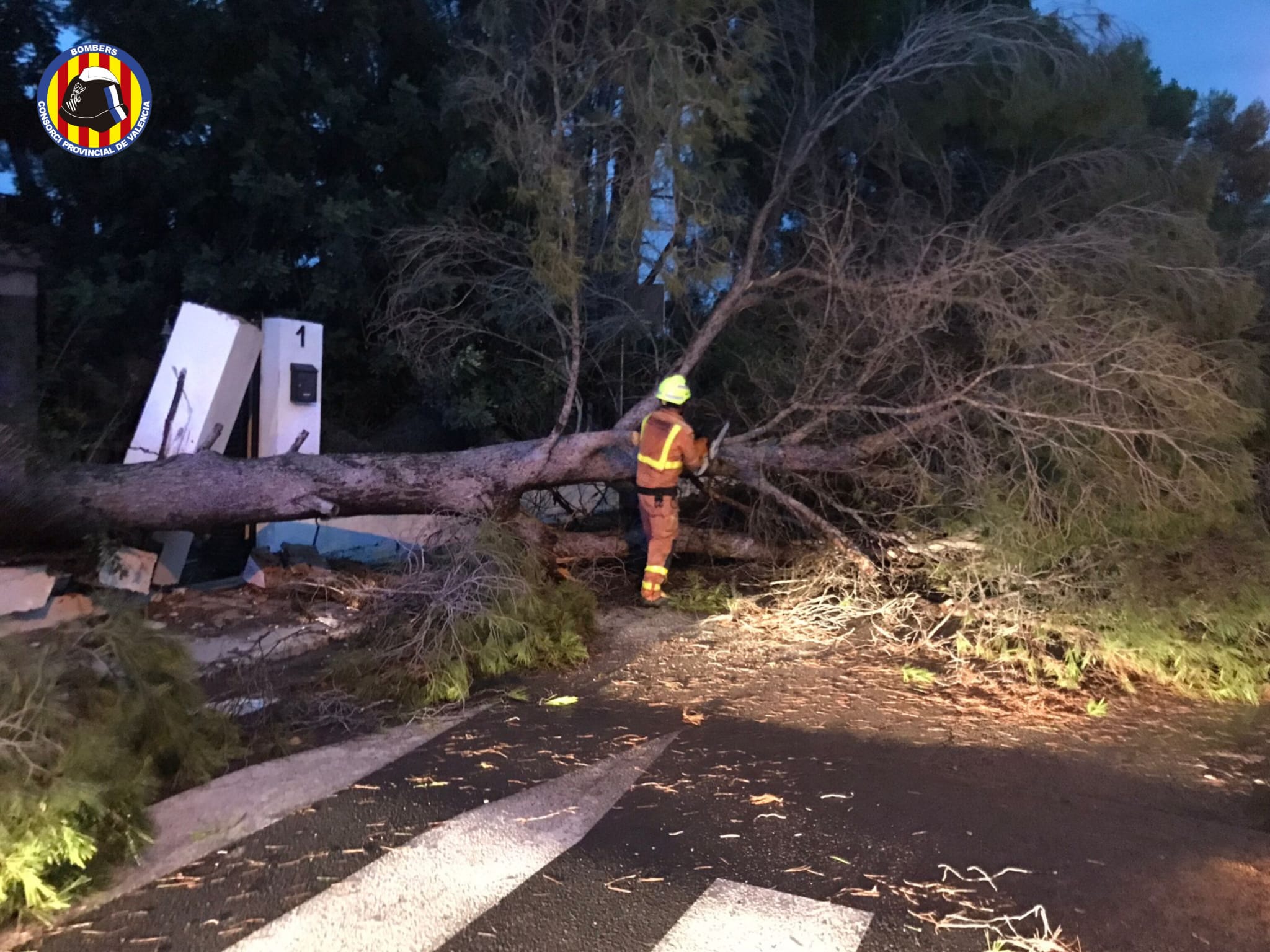 Un bombero trabaja en la retirada de un árbol tras el paso del temporal 'Betty'