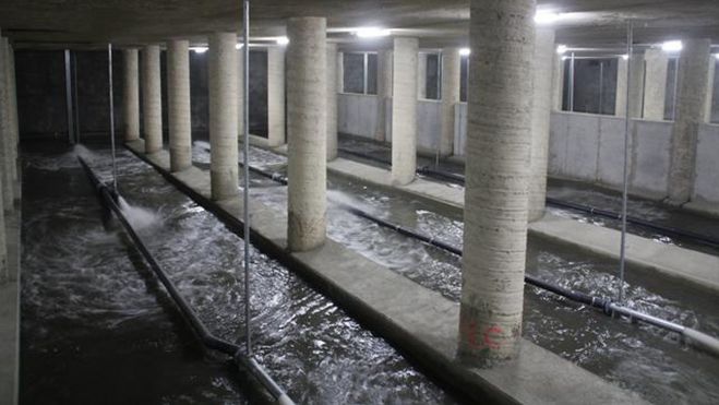 Revisión de alcantarillas y pasos inferiores de València