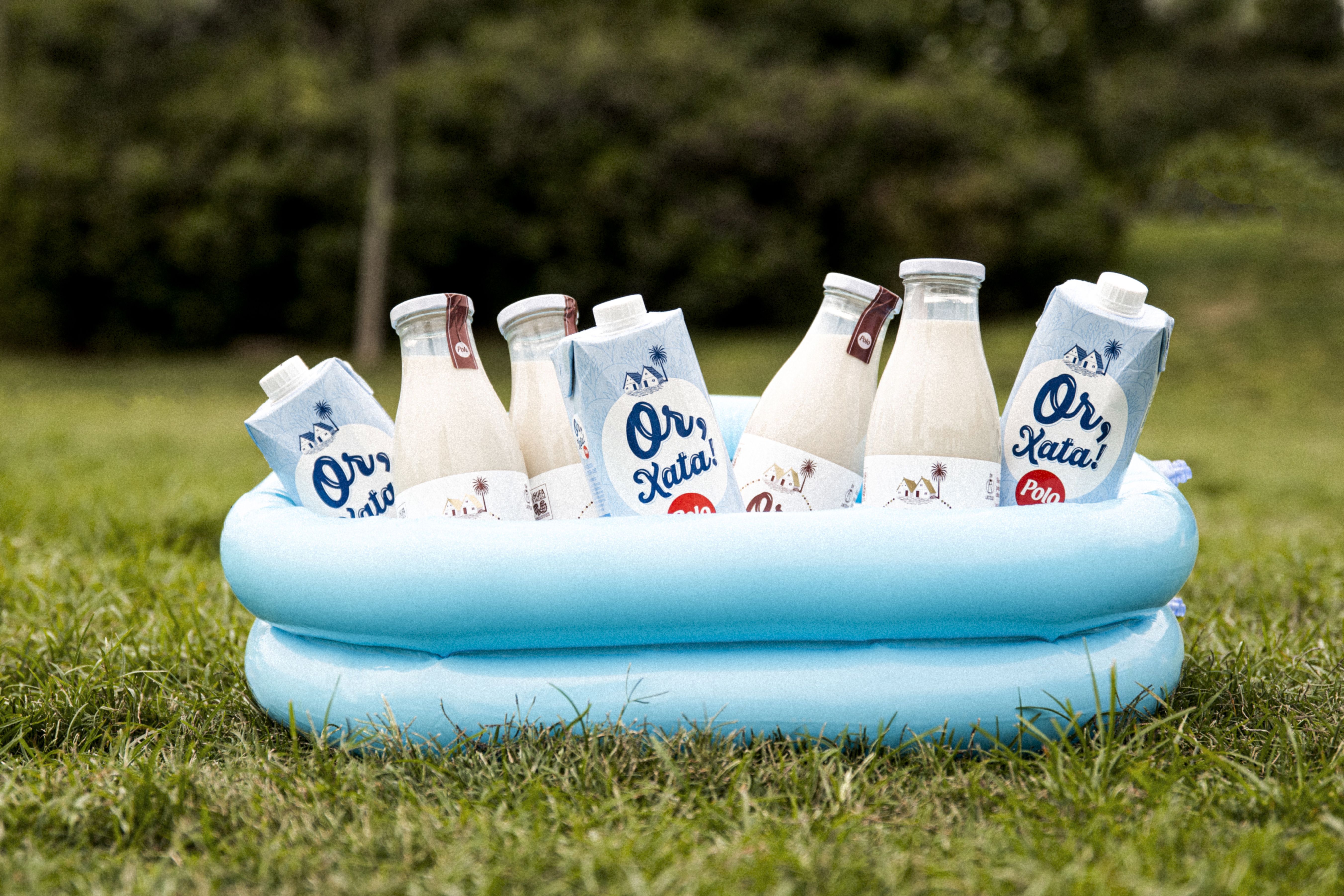 Polo Festo 2023 a València