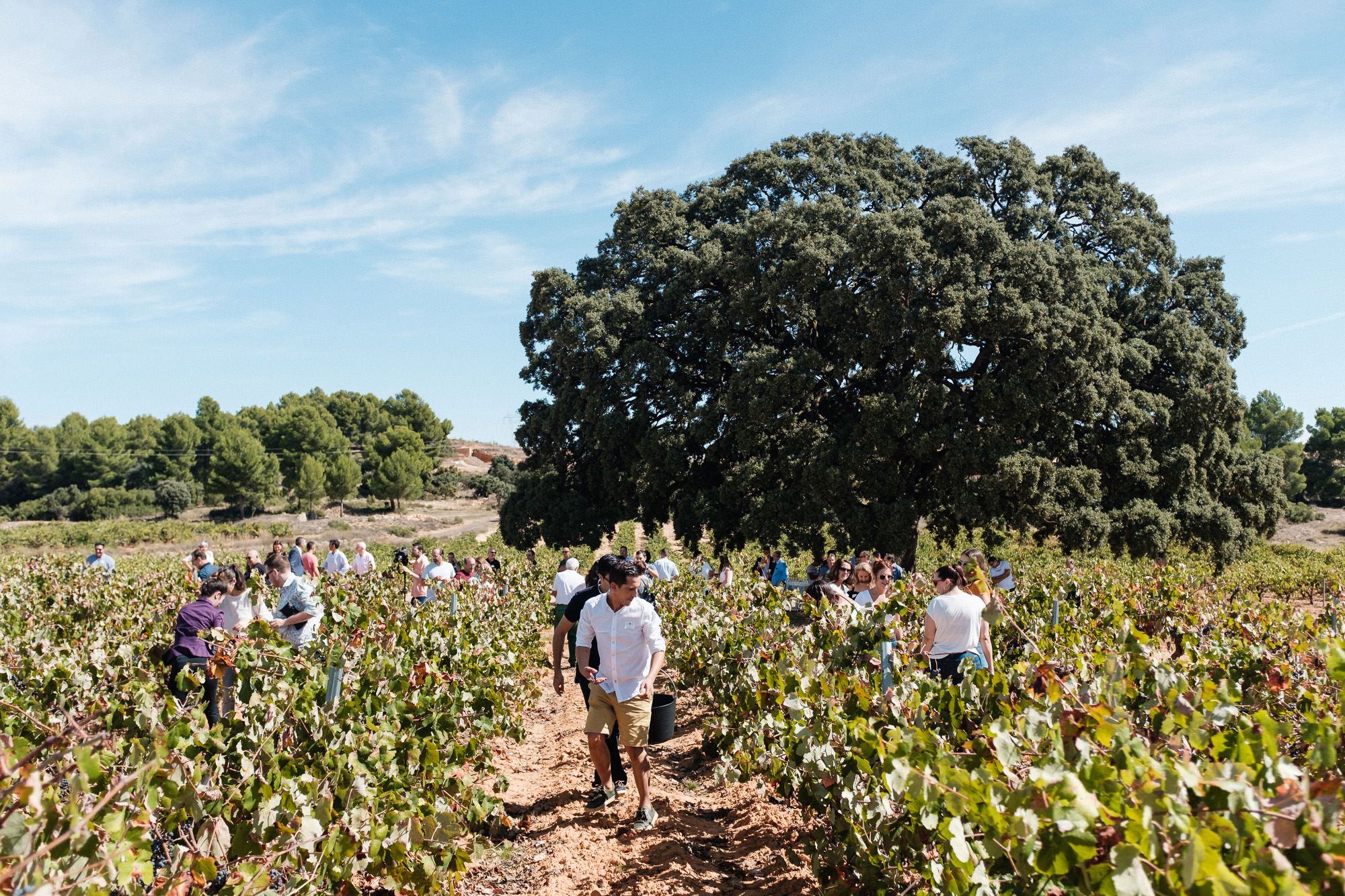 Actividad por el Día Mundial del Turismo en Caudete de las Fuentes