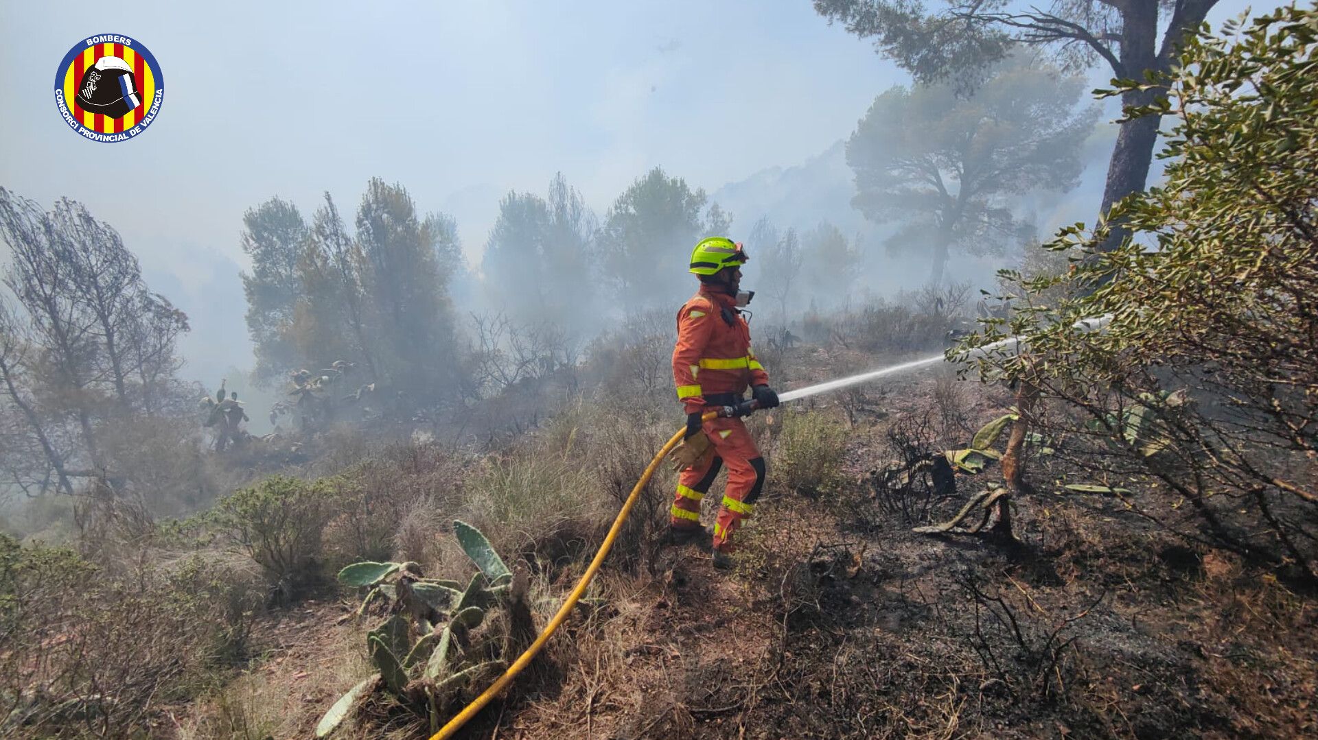 Un bombero trabaja en la extinción del incendio forestal (Imagen de archivo)