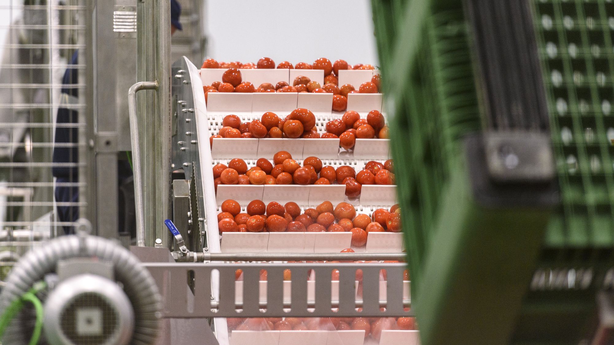 Fàbrica de Cool Vega