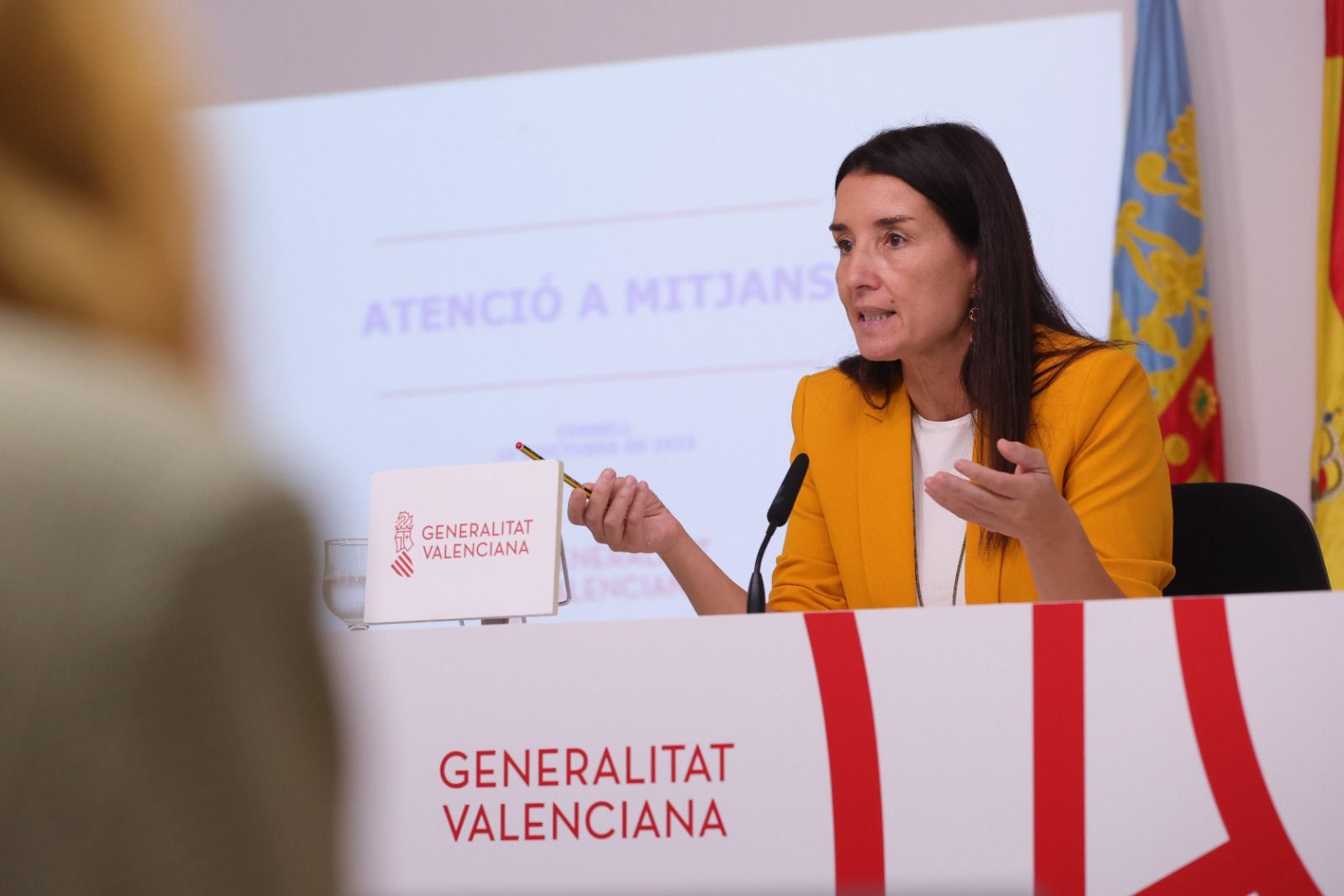 La consellera d'Hisenda i portaveu del Consell, Ruth Merino