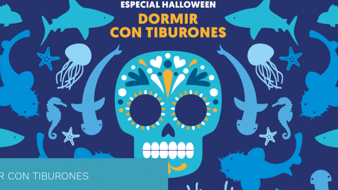 Dormir con tiburones Dormir con tiburones