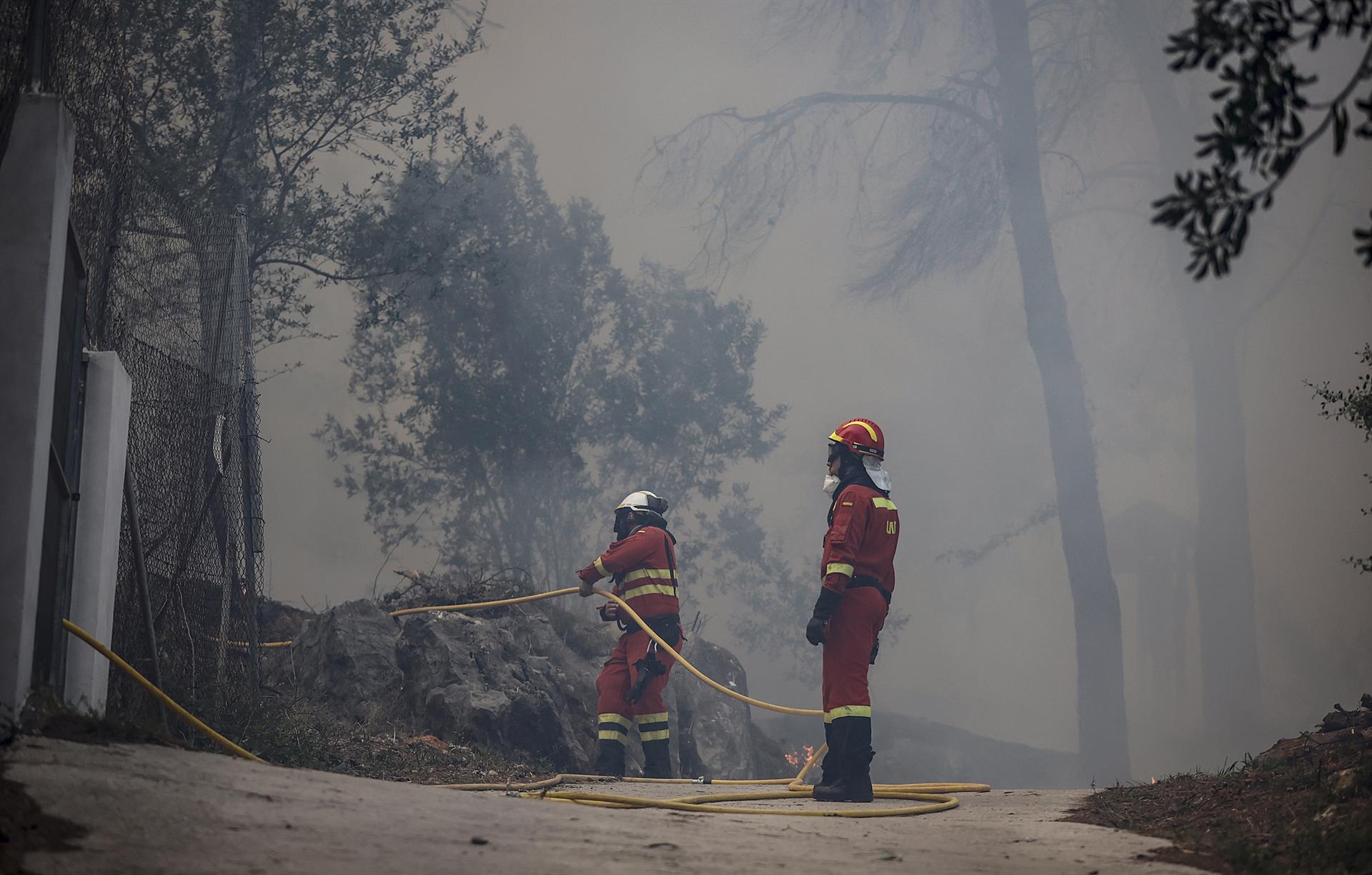 El incendio de Montitxelvo sigue arrasando terreno durante toda la noche