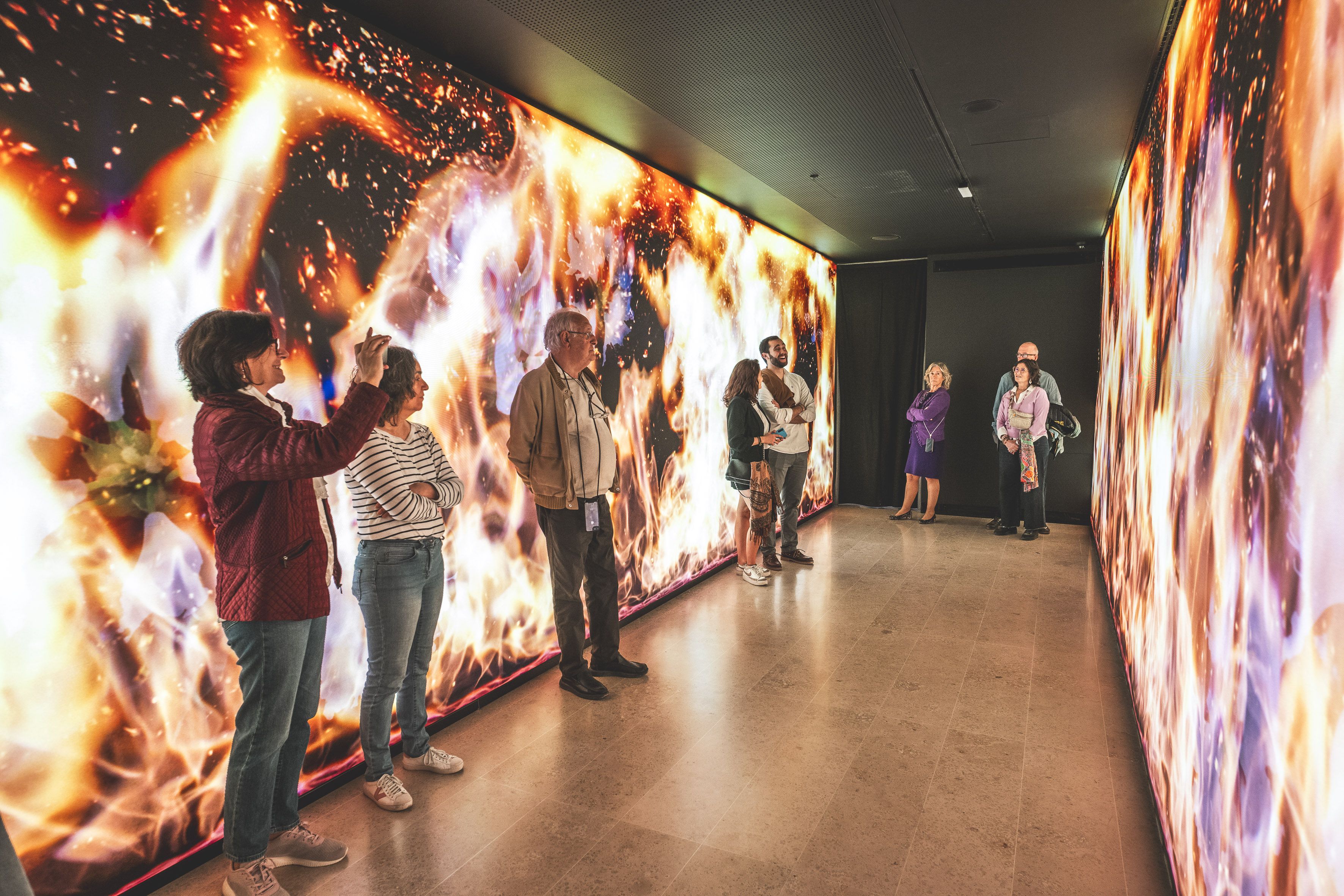 Obra d'art de Matt Collishaw en el CAHH. Imatge: Centre d'Art Hortensia Herrero Obra d'art de Matt Collishaw en el CAHH. Imatge: Centre d'Art Hortensia Herrero