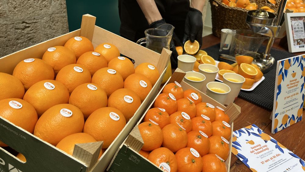 Taronges valencianes Taronges valencianes