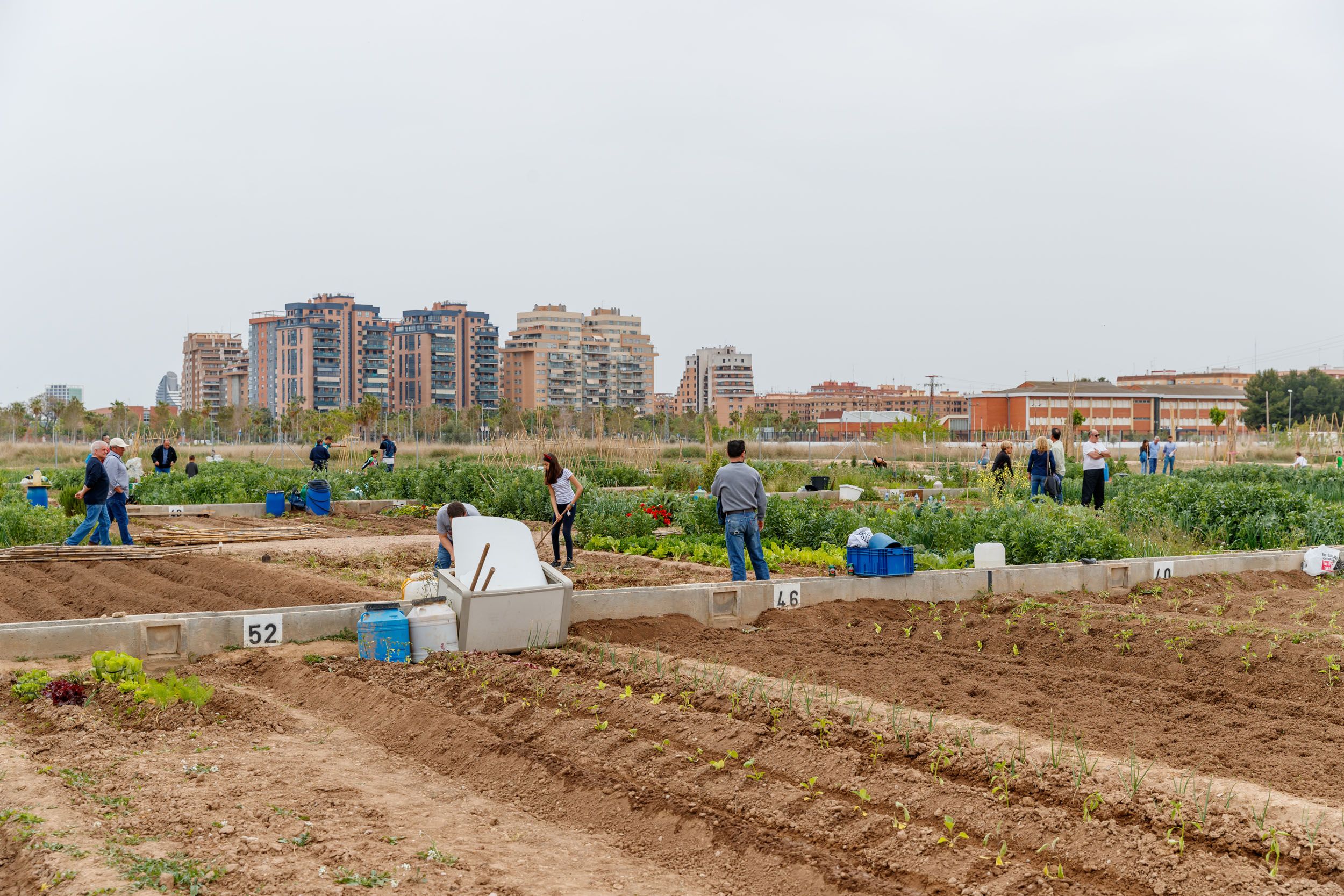 Horts urbans de Mislata