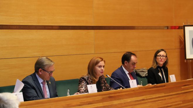 Ple del Consorci del Camí del Cid