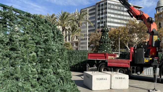 Montaje del árbol de Navidad en la plaza del Ayuntamiento de València Montaje del árbol de Navidad en la plaza del Ayuntamiento de València